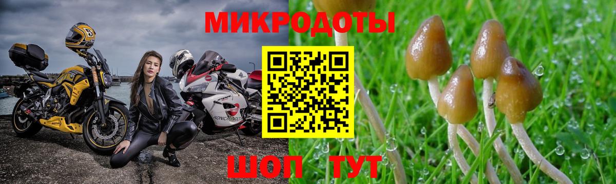Галлюциногенные грибы мицелий  Вход с VPN  Набережные Челны 